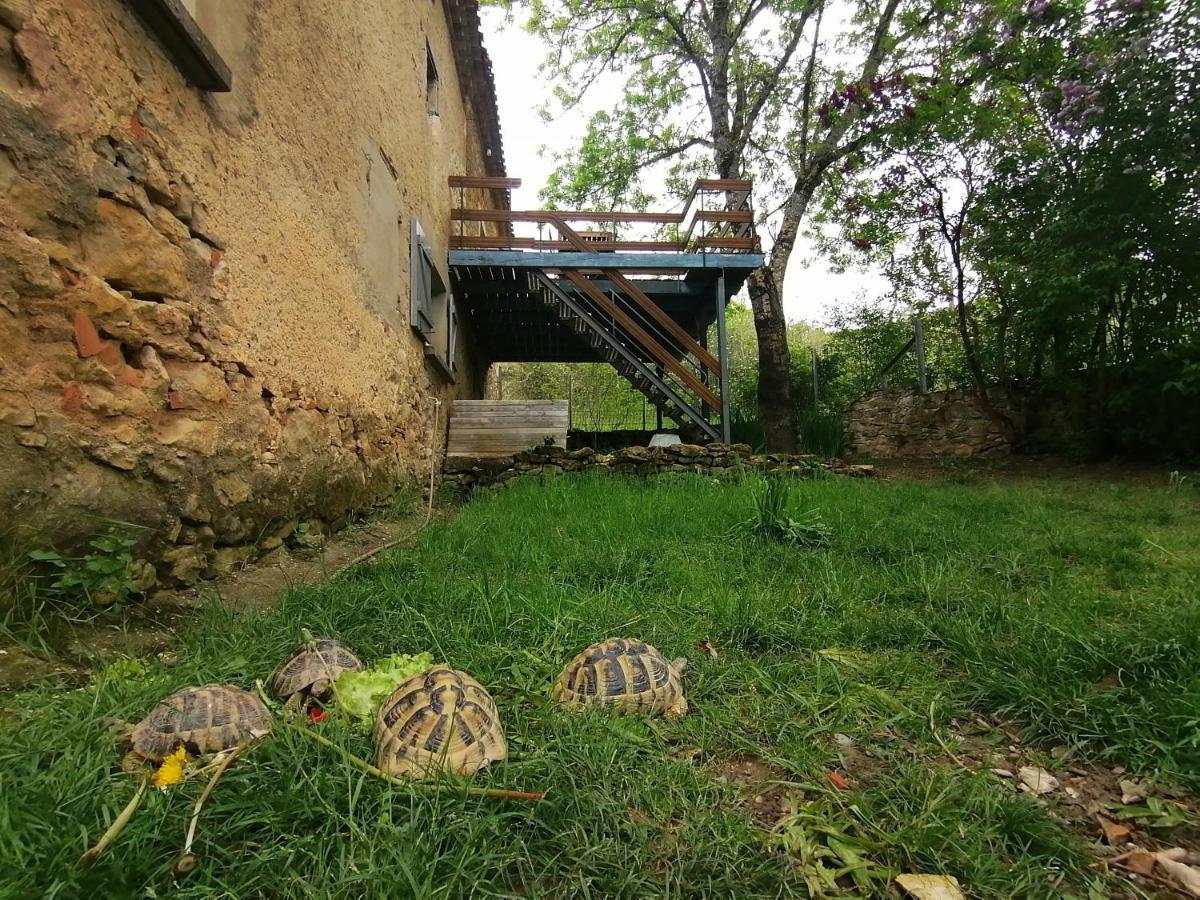 Gite Du Fassac Saint-Julien-du-Puy Extérieur photo